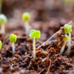 CCTV5体育赛事在线直播手机版高清观看指南 7jn2mnfc0