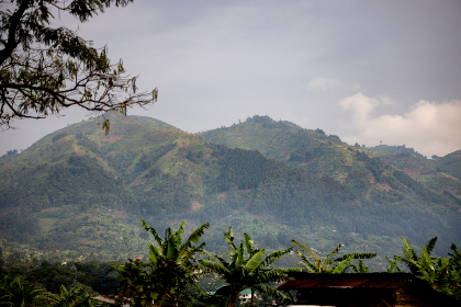 赌博种类的演变：历史与现代博彩文化的交融