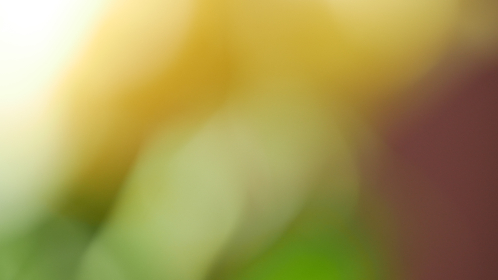 赛博娱乐的独特优势与市场竞争力分析